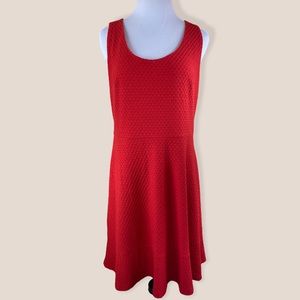 NWT Loft Ann Taylor Red Sleeveless Dress embroider